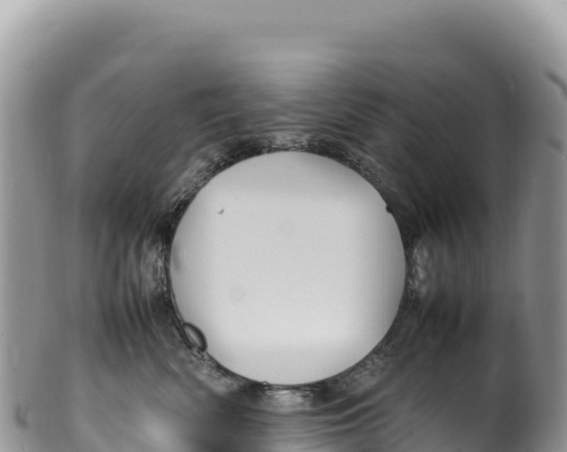 X0000100220522200806201510