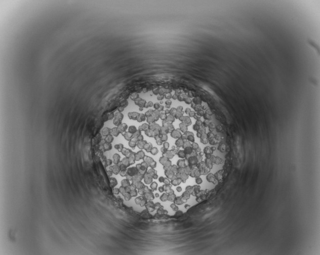 X0000100220524200806201510