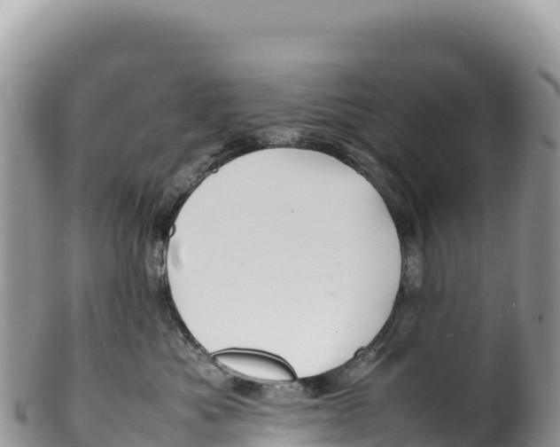 X0000100220525200806201510