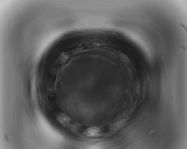 X0000100220526200806201510