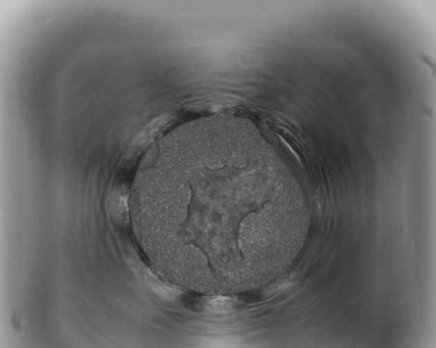 X0000100220527200806201510