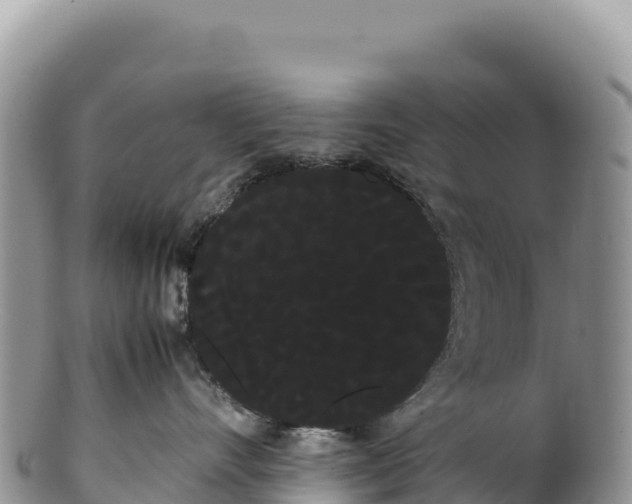 X0000100220528200806201510