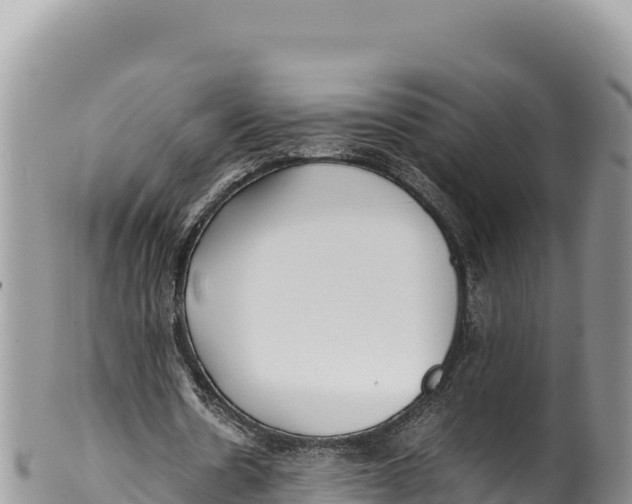 X0000100220530200806201510