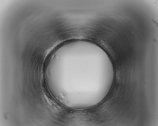 X0000100220532200806201510