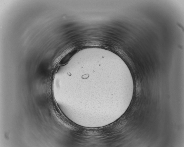 X0000100220533200806201510