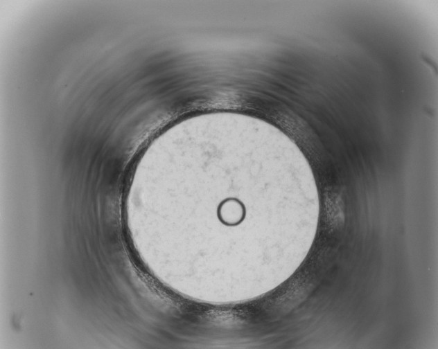 X0000100220534200806201510