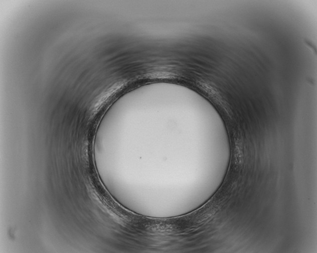 X0000100220535200806201510