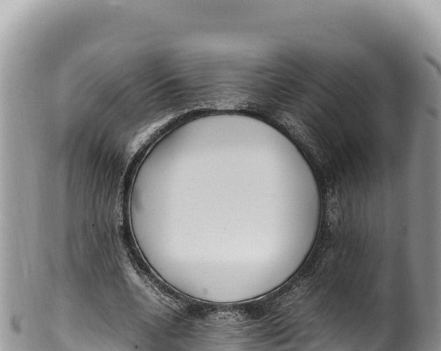 X0000100220536200806201510