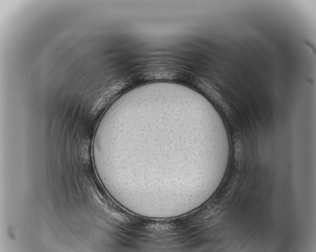 X0000100220537200806201510