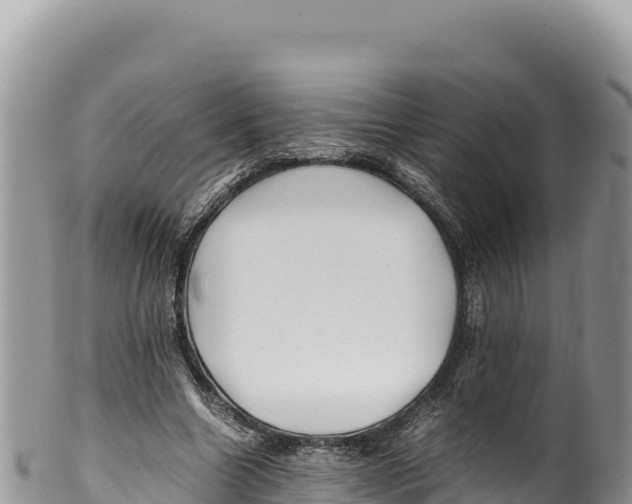 X0000100220538200806201510