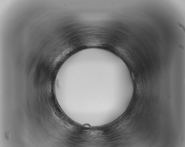 X0000100220539200806201510