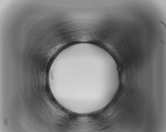 X0000100220540200806201510