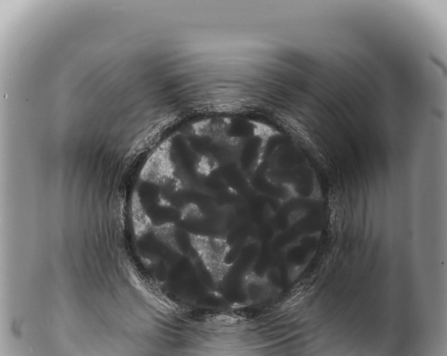 X0000100220542200806201510