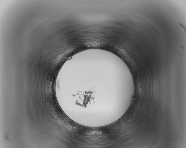 X0000100220543200806201510