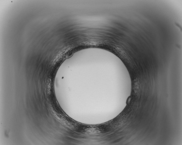 X0000100220544200806201510