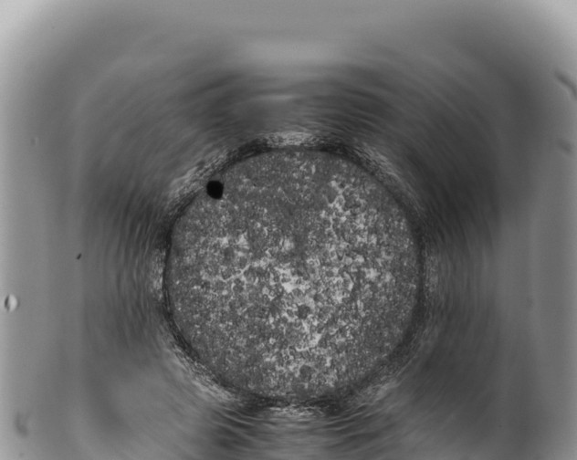 X0000100220545200806201510