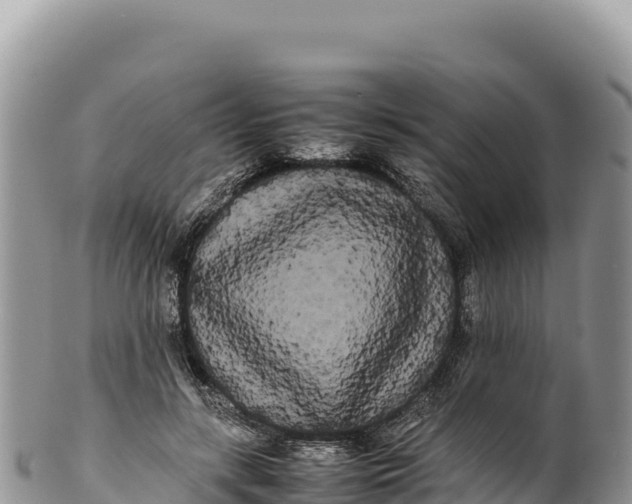 X0000100220547200806201510