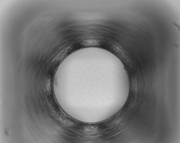 X0000100220549200806201510