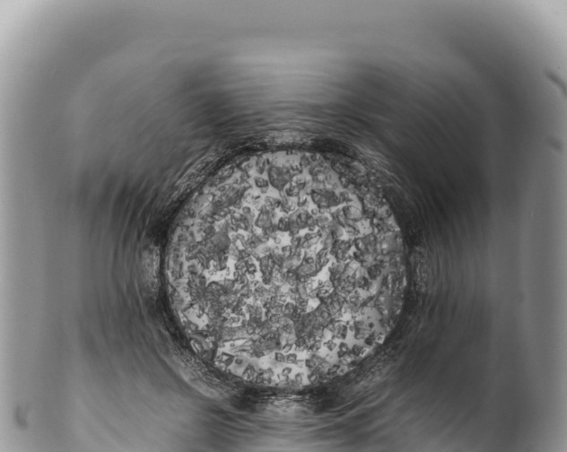 X0000100220550200806201510