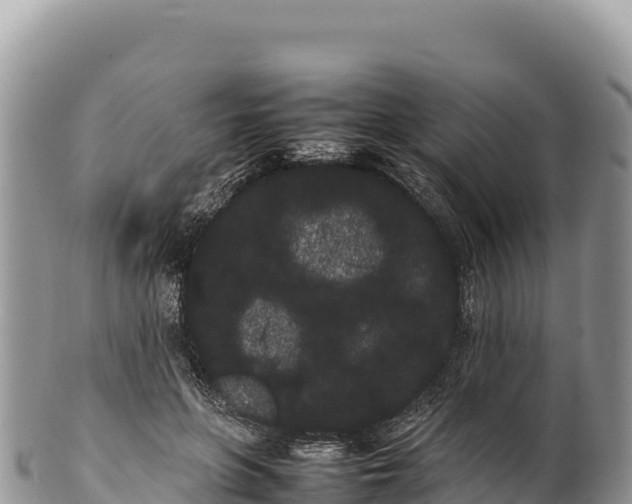 X0000100220551200806201510