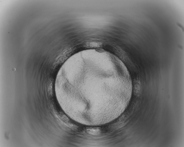 X0000100220552200806201510