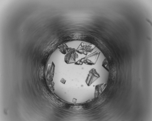 X0000100220554200806201510