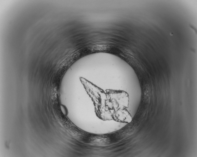 X0000100220555200806201510