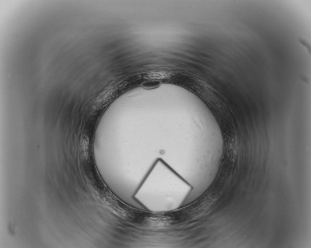 X0000100220556200806201510