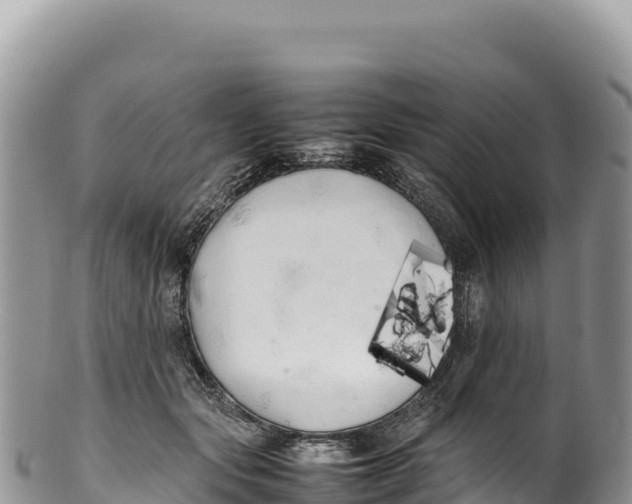 X0000100220557200806201510