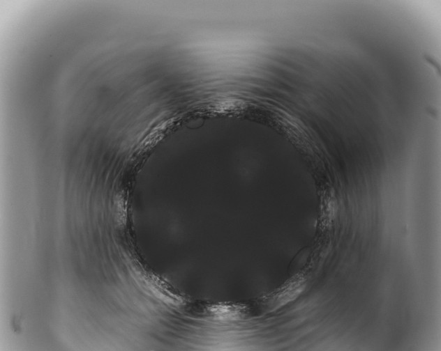 X0000100220558200806201510