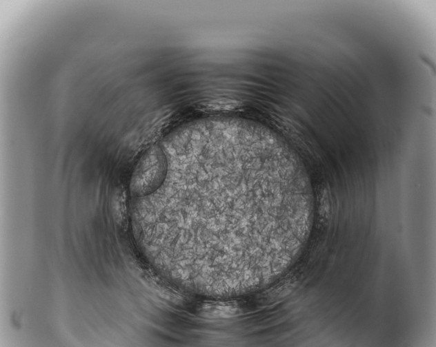 X0000100220559200806201510