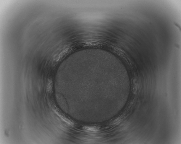 X0000100220563200806201510