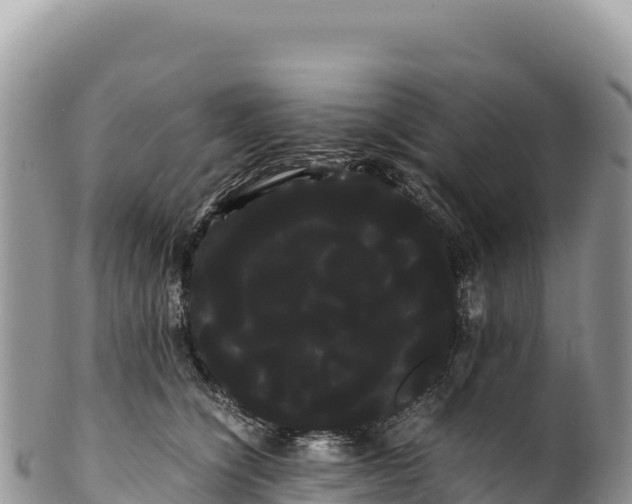 X0000100220564200806201510