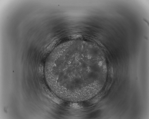 X0000100220565200806201510