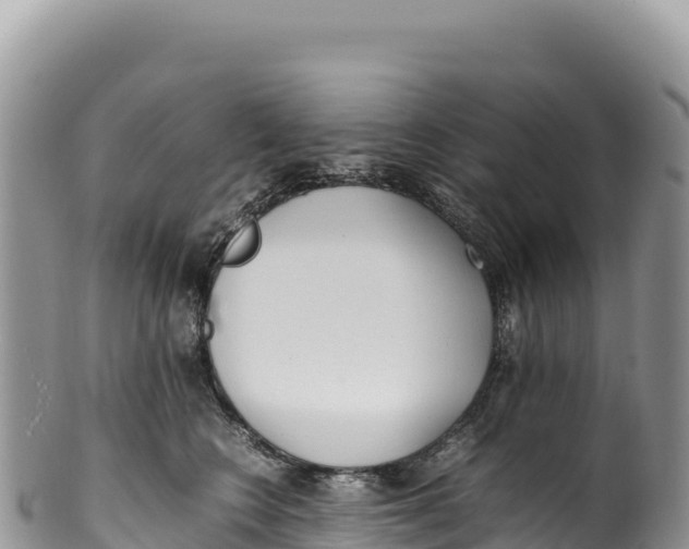 X0000100220566200806201510