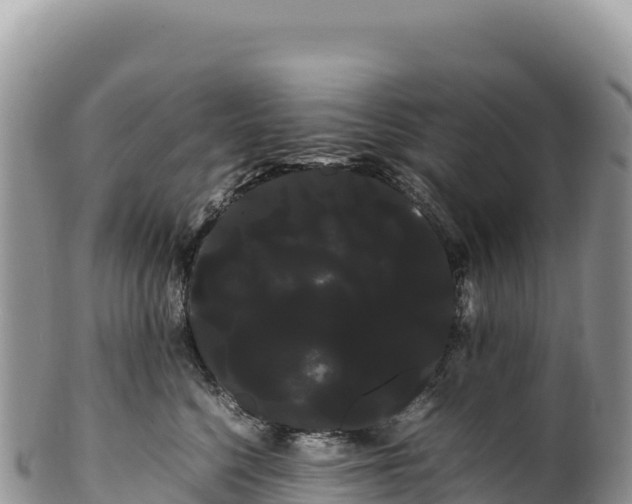 X0000100220568200806201510