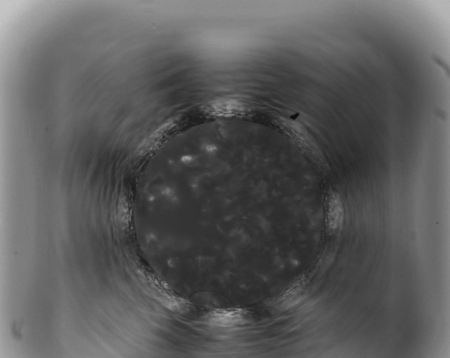 X0000100220569200806201510