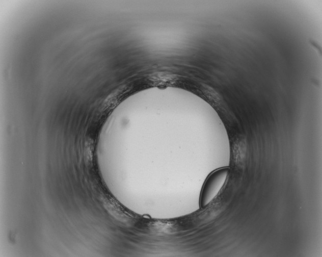 X0000100220570200806201510