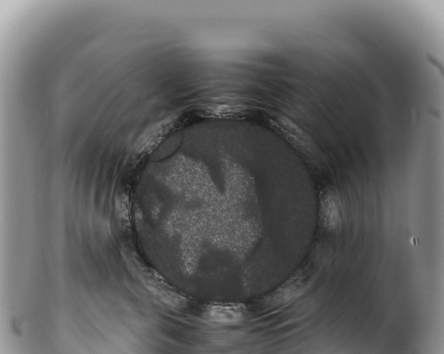 X0000100220571200806201510