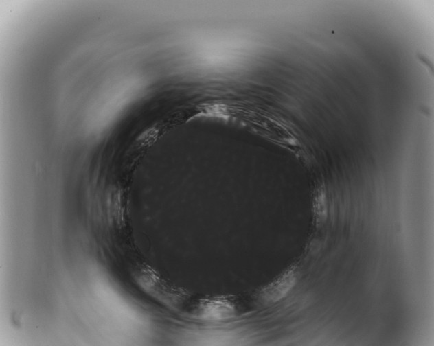 X0000100220572200806201510