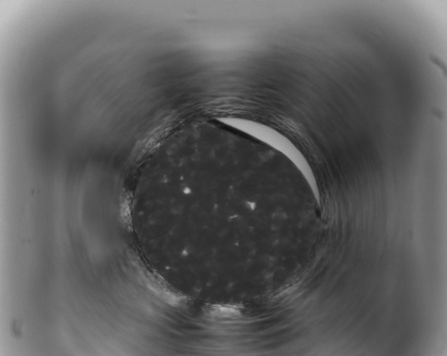 X0000100220573200806201510