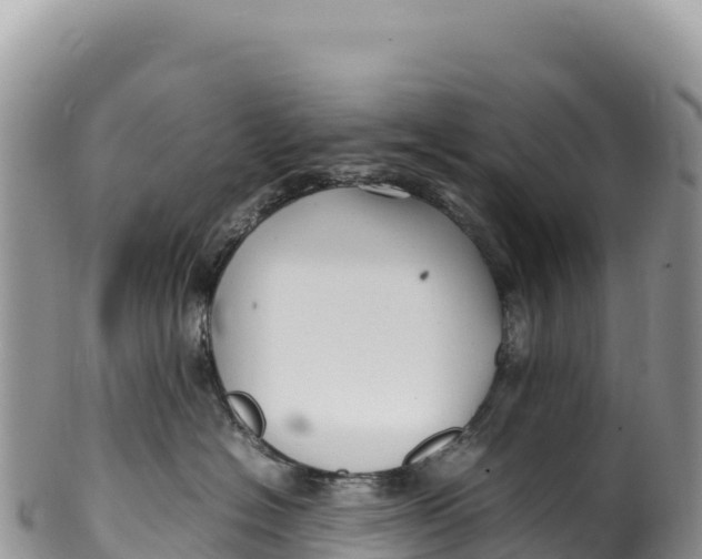 X0000100220574200806201510