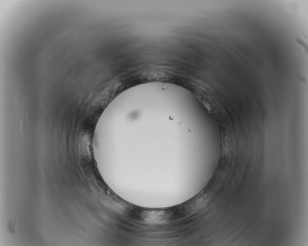 X0000100220575200806201510