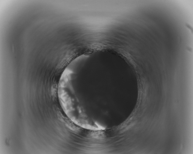 X0000100220576200806201510