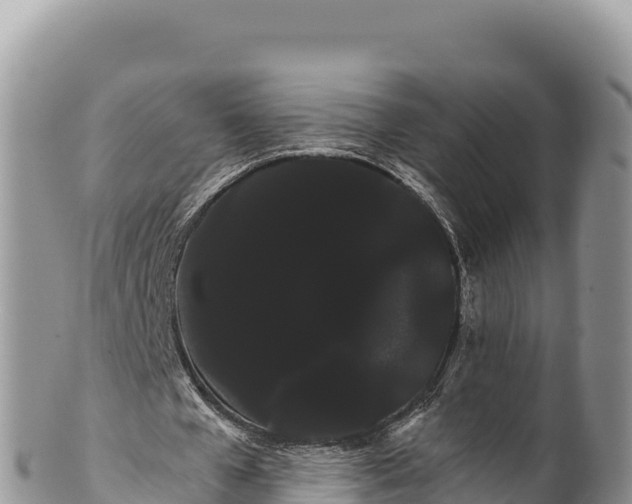 X0000100220577200806201510