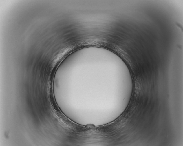 X0000100220578200806201510