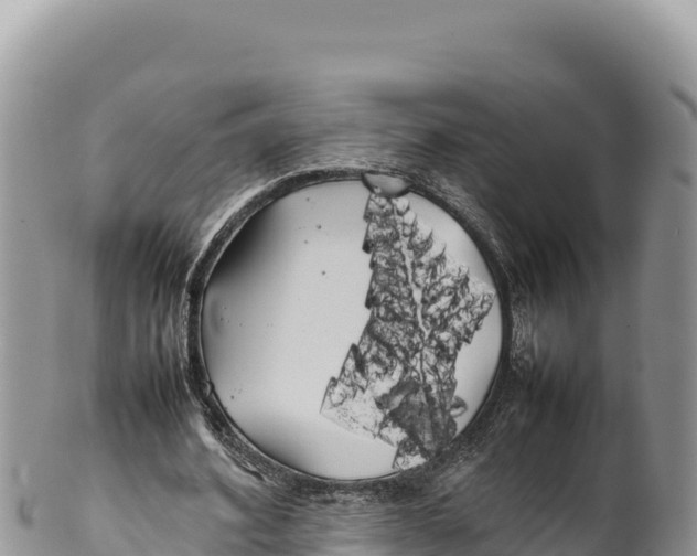 X0000100220580200806201510