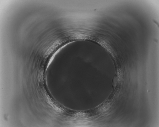 X0000100220581200806201510