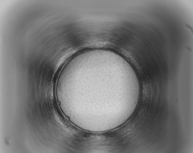 X0000100220582200806201510