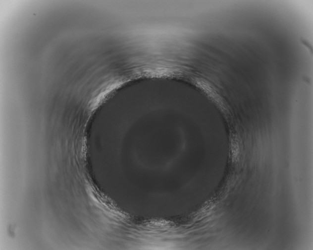 X0000100220583200806201510